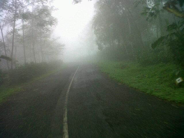 PELEMDUKUH_ tweet picture