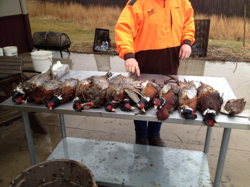bxdowd's tweet photo. Beer &amp; football sunday in chitown, phesant hunting in iowa minday , knee deep pow in bigsky today#retirement rules http://t.co/SY4s3G8LZR