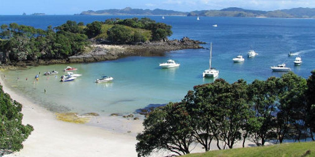 docgovtnz's tweet image. Great Mercury Island is now considered catless + ratless - and we want to keep it that way: ow.ly/G41m7 |