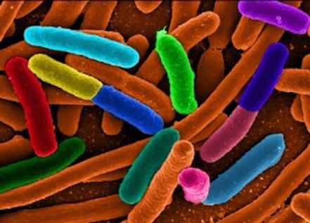 Paul Takamoto tweet media