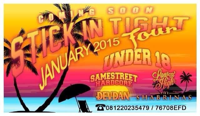 LION HARDCORE tweet media