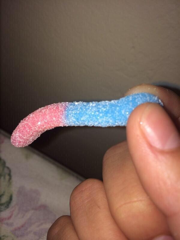 FunnyPicsDepot's tweet photo. the GOAT gummy worm http://t.co/GornI5lceg
