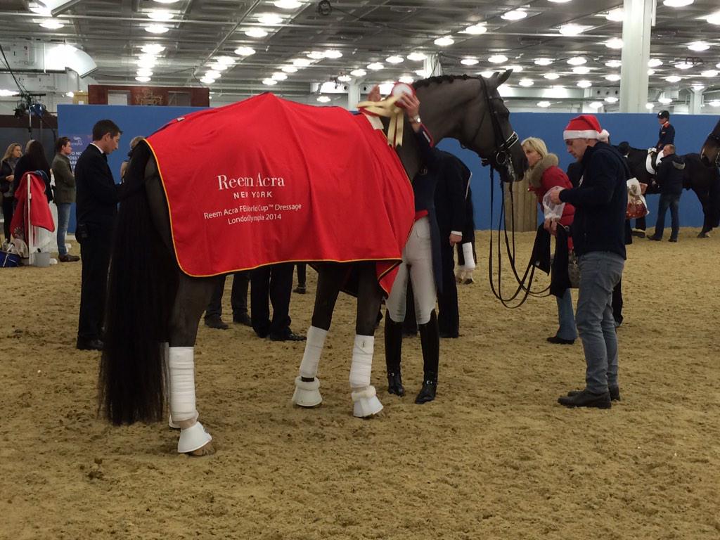 ejddunn's tweet photo. What an amazing night @olympiahorse #feelinglucky http://t.co/3rA1W42F8W