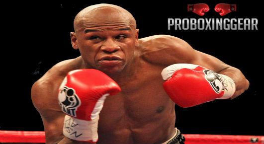 gearproboxing tweet picture