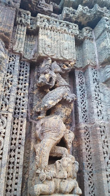 今回の空想幻獣展には参加できず残念な私ですが、昨日はコナーラクのスーリヤ寺院で遺跡の彫刻の数々を堪能してきました。幻獣好きさんが飛び付きそうなところをピックアップしてお裾分け! 