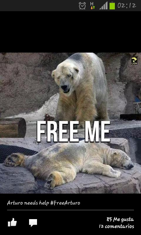 #FreeMe #FreeArturo #Libertad #MalasCondiciones #NoCautiverio #Compartir #Rt