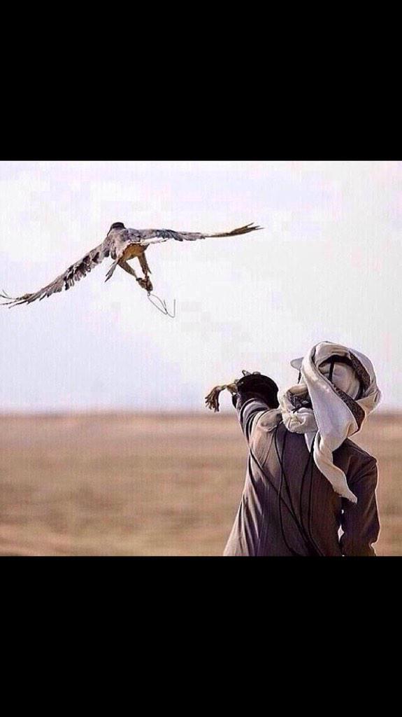 ben_aon's tweet photo. #عونيات
واليوم كان اللي يحاكيك ماين
هذي سبوقك وانتهض بالجناحين
لو كان عندي مافراقك بهاين
حنا عزاز ولا نهين العزيزين http://t.co/3VxItFByqm