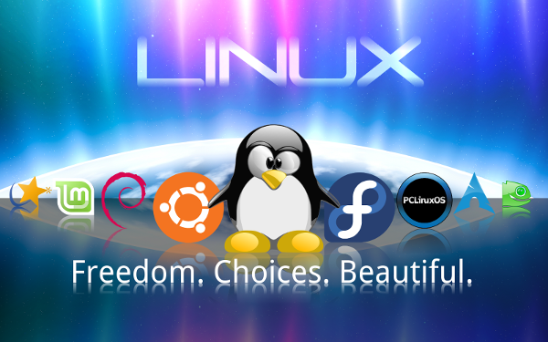 javacodegeeks's tweet image. #Linux For Dummies - eBook (usually $22.99) FREE for a limited time! Migrate to Linux! buff.ly/1DMkUZG