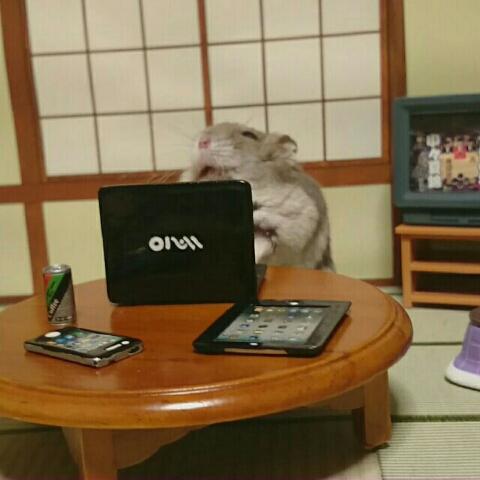 therealphilmcm's tweet photo. Woah! Is this guy working hard or hardly working?!? I'm talking about this mouse with an ipad. http://t.co/hpBjxiIVWd