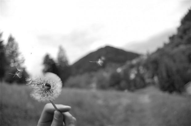 CreativeLive (@creativelive) on Twitter photo If you want people to listen to your story, try being vulnerable. cr8.lv/1uCi7gu If you want people to listen to your story, try being vulnerable. cr8.lv/1uCi7gu