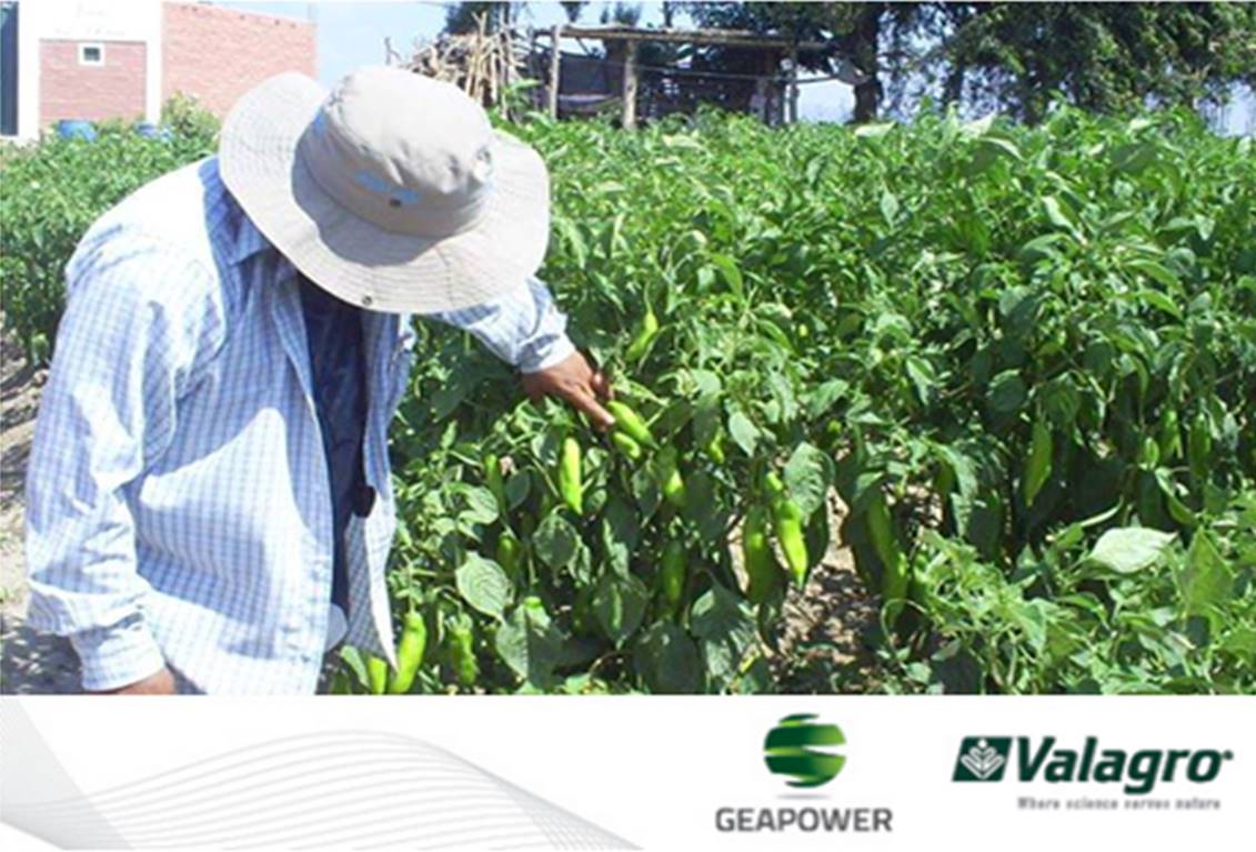 ValagroGroup-Br tweet media