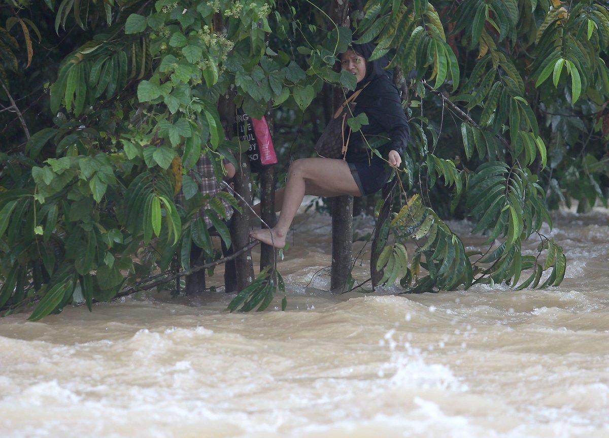 Embedded image permalink