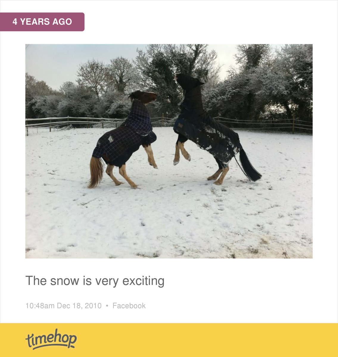 waz3675's tweet photo. Snow time 4 yrs ago .☺ Poppy and Sam xx http://t.co/3SKI7ntVmy http://t.co/ZOAmEPGflF