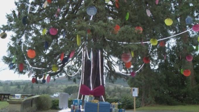 GuidingCymru's tweet photo. 'Powys' claims of tallest Christmas tree in UK' via @ITVWales http://t.co/TbTyNSOJ8h @ggcymru @Girlguiding http://t.co/HynB4auusV