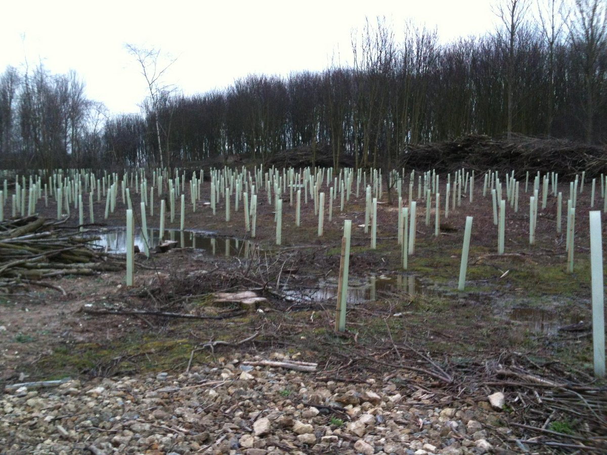 TCV Hull and Humber tweet media