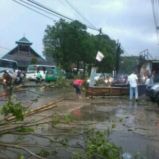 #cuacaBDG 17.13 : patal cipadung pohon pada tumbang gara" angin dengan daya besar barusan menghantam  | <a href="/arizirawan/">dudueng</a>