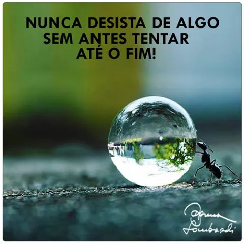 ---
---
Enviado através do WhatsApp