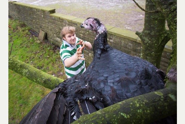 Check Olly out in the <a href="/BristolPost/">Bristol Post</a> with Gobbles the turkey! Reminds me of <a href="/ShootingStarsTV/">Shooting Stars</a> 'Dove from above' #Cooooo