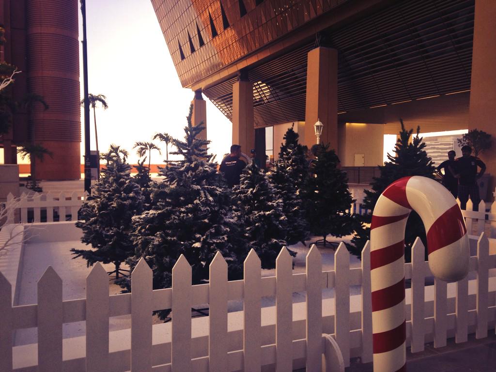 TGP Events tweet media