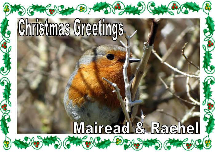 @bts_views <a href="/LifeAdventureCt/">Life Adventure Ctr</a> <a href="/Cross_Square/">Cross_Square_Hotel</a> <a href="/matthewscoaches/">Matthews Coach Hire</a> <a href="/ToursNewry/">Newry City Tours</a> <a href="/granitetours/">granitetours</a> <a href="/visitmourne/">Visitmourne</a> #growyourhorizons