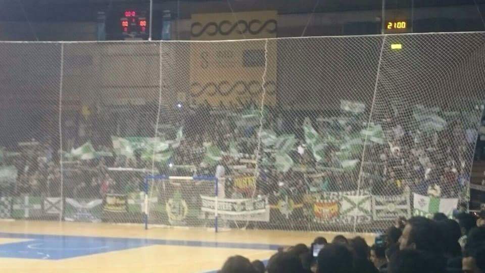 SGS86Oficial's tweet photo. Defendemos unos colores!!!
Pabellón San Pablo, partido Copa del Rey http://t.co/8tg78eDvyv