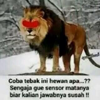 Ty Martiod P Twitter