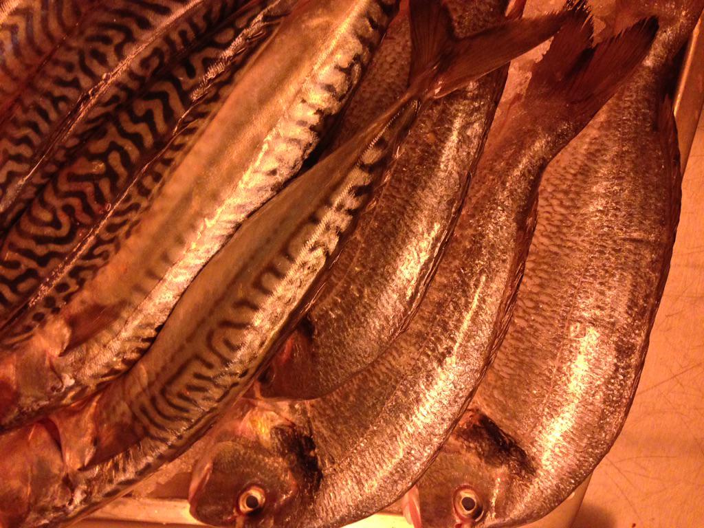 Kerstsfeer en weer veel verse vis: makreel, snoekbaars, tonijn, zwaardvis, kokkels etc. En verse groenten natuurlijk!