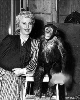 Barbara Stanwyck tweet media
