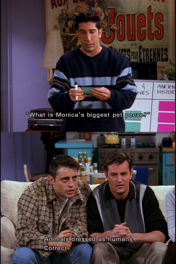 F.R.I.E.N.D.S Fan (Please RT) on Twitter: &quot;#Chandler: Fears and Pet Peeves. #Ross: What is #Monica&#39;s biggest pet peeve? #Joey: Animals dressed as humans. http://t.co/mRVb0mvrI3&quot;