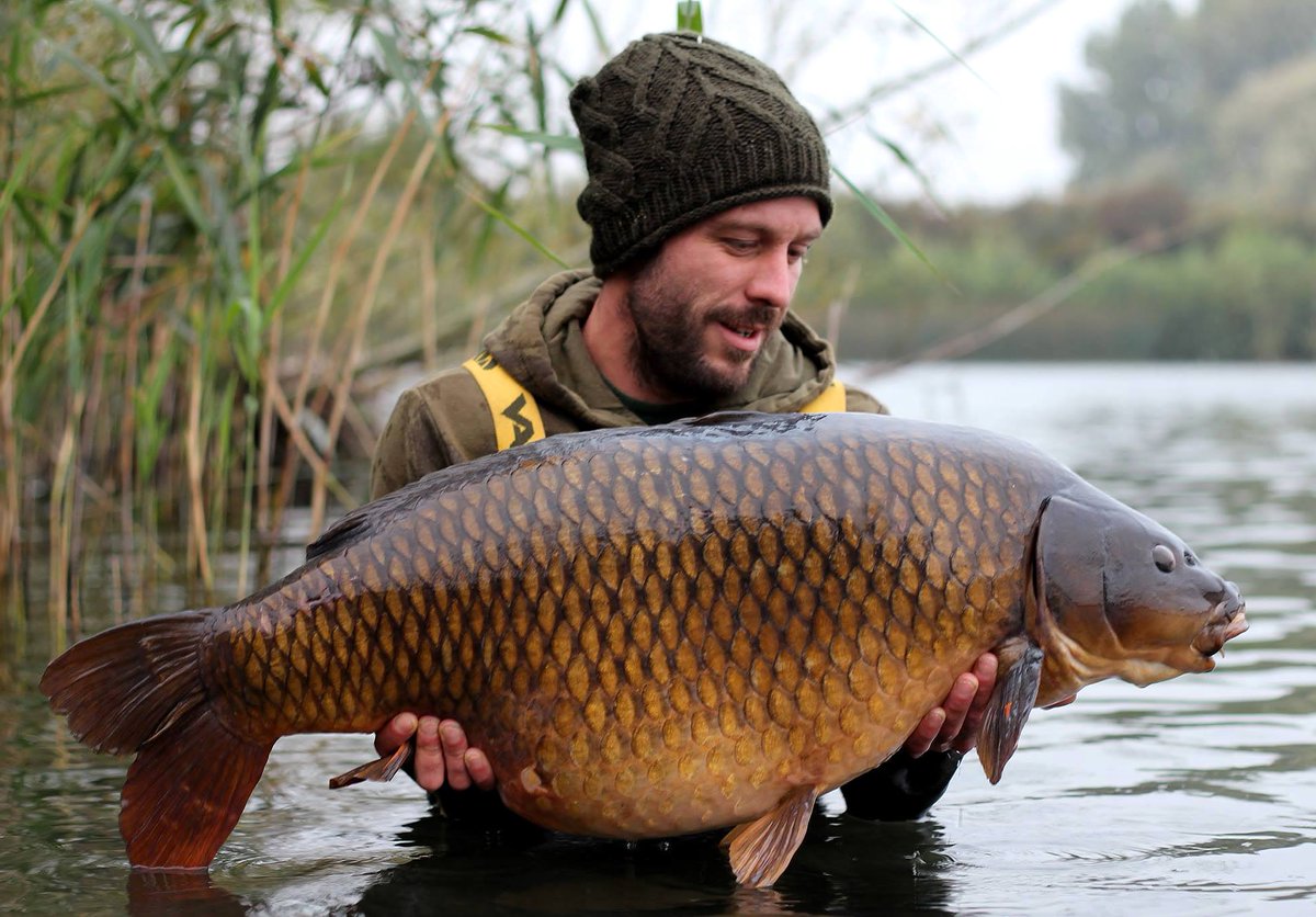 ollie__perrin's tweet photo. “@StickyOfficial: Ben Jones with the 'Box Common' from Christchurch at 40! http://t.co/Df2eQwYIrg” perfect 👌