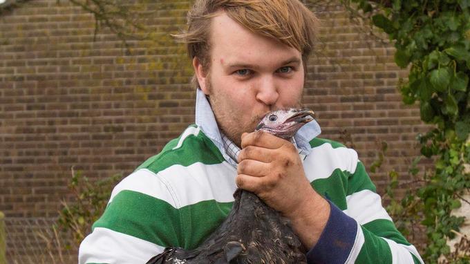 Poor <a href="/GobblesEscapes/">Gobbles the Turkey</a>. The result of being spared the chop and being "cared for" as a pet...