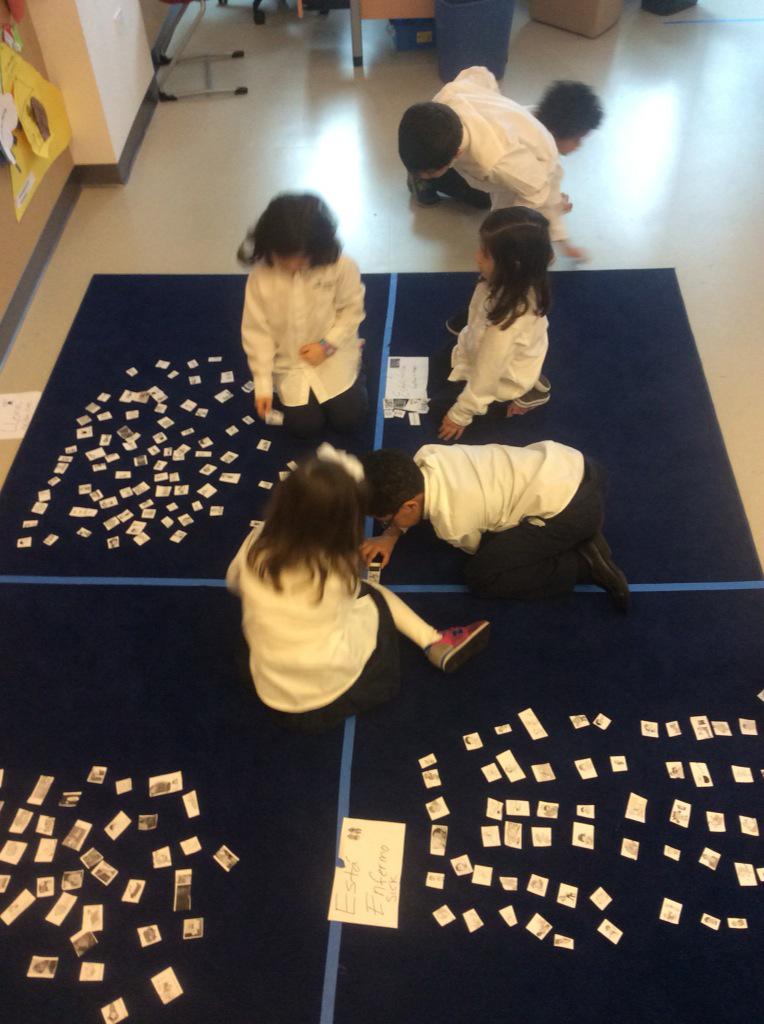 klhellerman's tweet photo. Kindergarten sorting pictures of our new vocabulary words #langchat #gwachicago http://t.co/xnBWwOb4mI