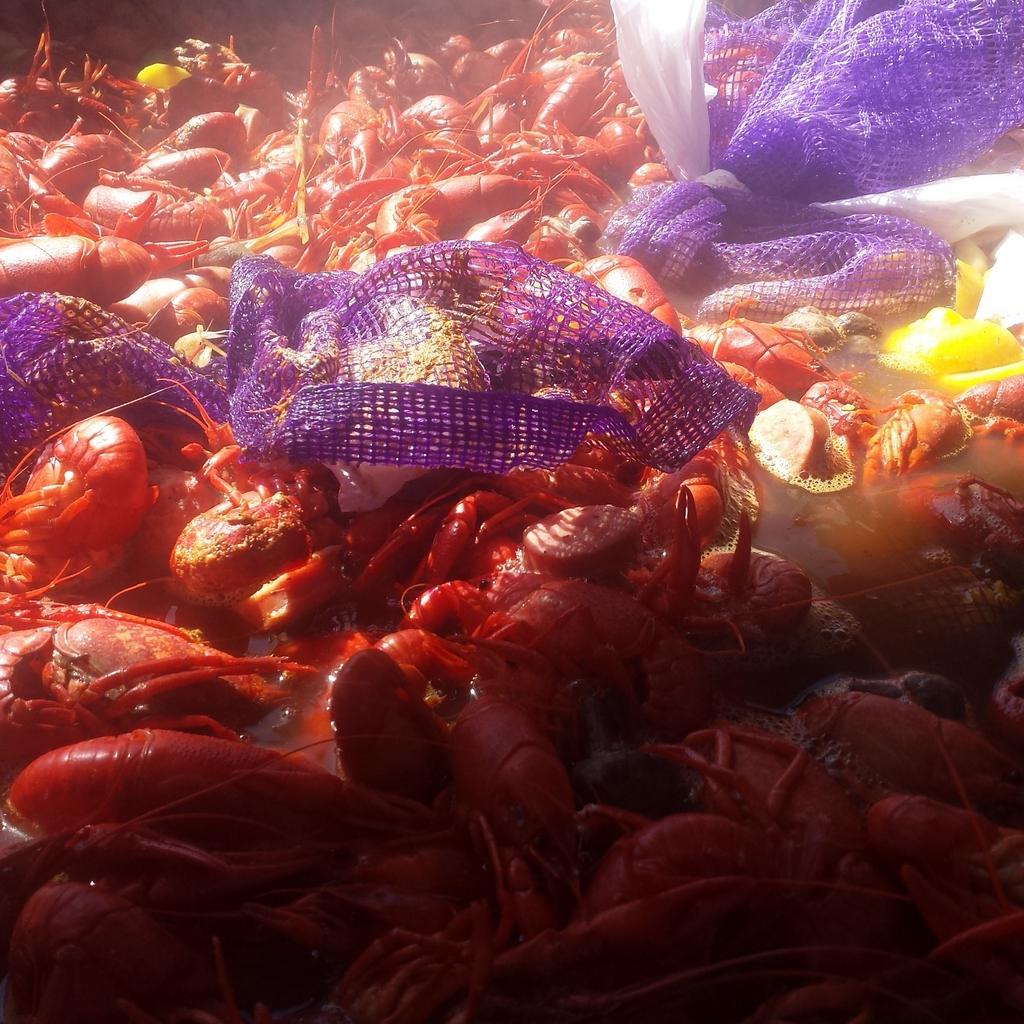 mobilemudbugs's tweet image. Crawfish season  opens tomorrow. We will have hot fresh bugs tomorrow. Palestine tx Jjs fast stop loop 256 &amp;amp;hwy 79 e
