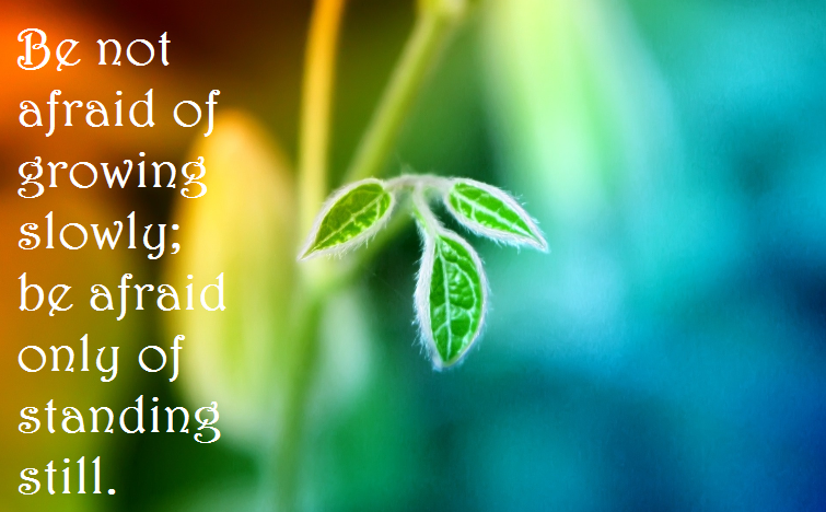 CT Sweep (@ctsweep) on Twitter photo 