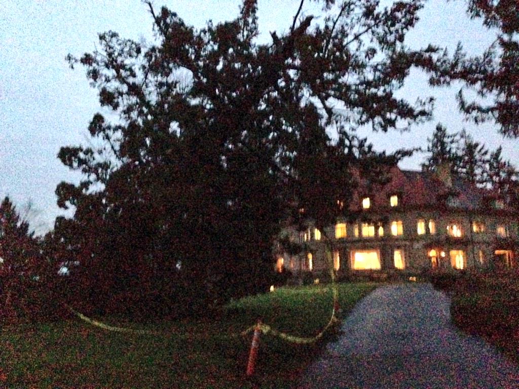 MikeKATU's tweet photo. Sad! One of the big pine trees at Pittock Mansion has fallen #LiveOnK2 http://t.co/WNhUbtJb1m