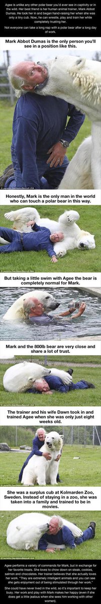 flipinside's tweet image. Random Pictures Of The Day – 62 Pics flipinside.com