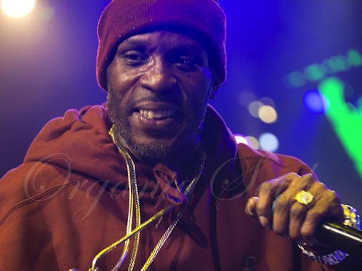 Happy Birthday from Organic Soul Rapper-songwriter and actor, DMX is 44 
 