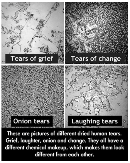 Picsined's tweet photo. Tears. http://t.co/33Zqa8jY42