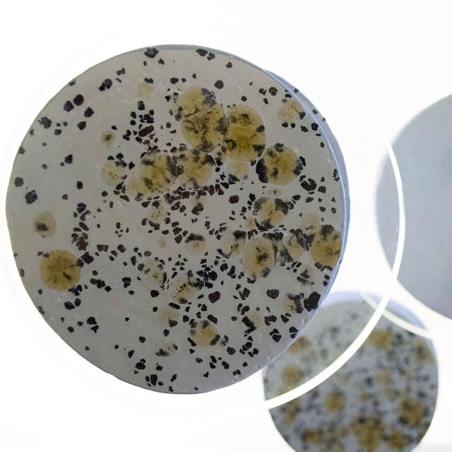 All these amazing b zippy coasters ⚪️set of 4 for shopseen.com/stores/settlem…