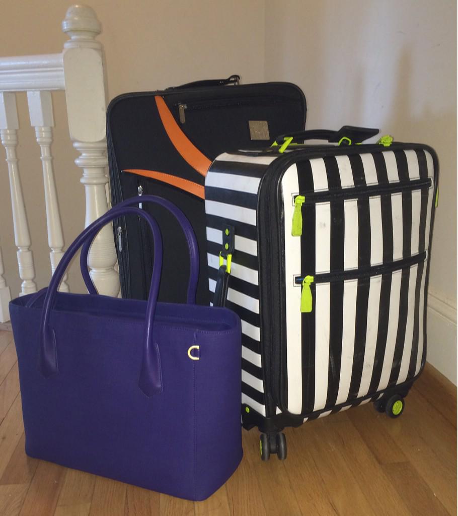 FWScouting's tweet image. this #dagnedover beauty is headed home for the holidays. cheers to you and yours from all of us at FW!