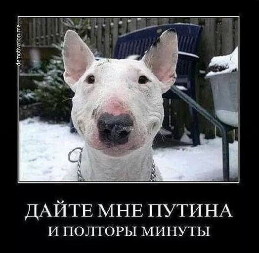 В ЕС отметили высокий уровень прозрачности транзита газа через Украину - Цензор.НЕТ 6002