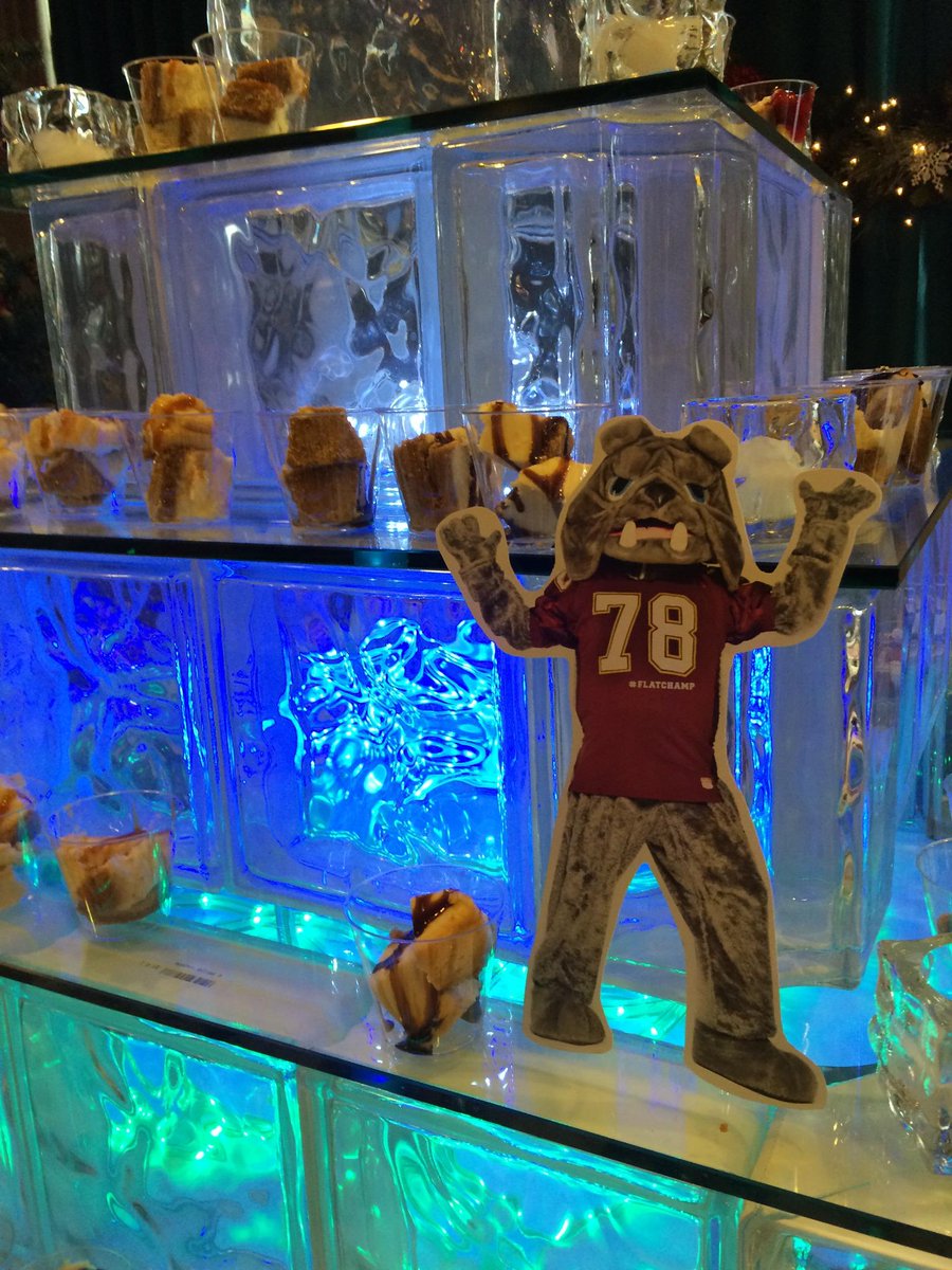 CEHSP's tweet photo. Flat Champ is a "fat champ" after attending the end of the semester buffet! #FlatChamp http://t.co/Rnu1bxbG2J