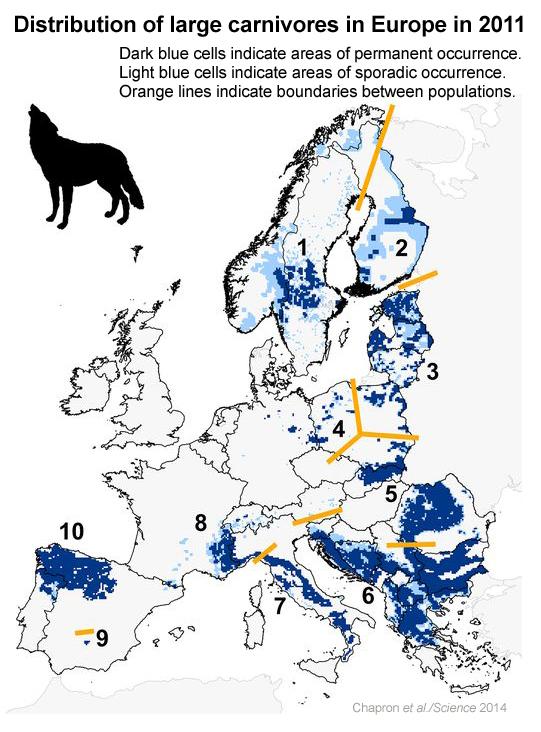 '@sciencemagazine: Recovery of large carnivores in Europe’s modern human-dominated landscapes scim.ag/1AkqNJV '