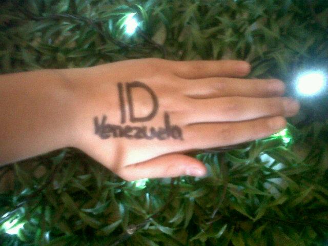 mariauxbacalao's tweet image. #OneDirectionInVenezuela @Real_Liam_Payne @zaynmalik @Louis_Tomlinson @NiallOfficial @Harry_Styles vengan x nosotras