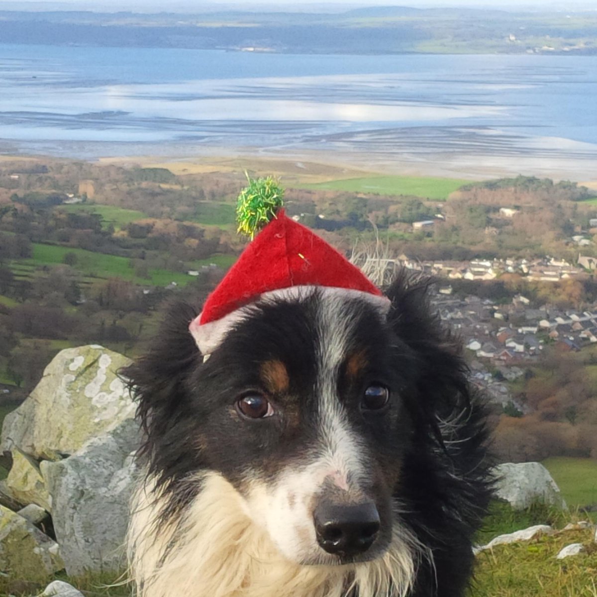 topdogwales's tweet photo. #GoPro VIDEO: Remember those of us who are working this #Christmas http://t.co/uvxi5iqbte #WatchtheFlock http://t.co/6naHsPHMid