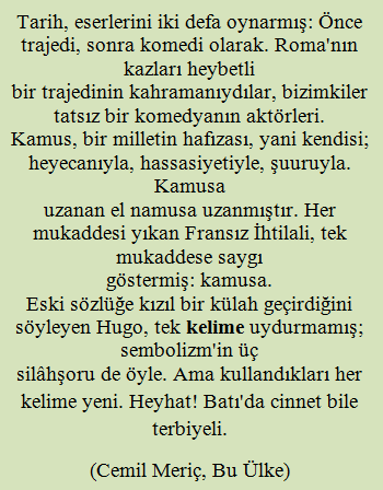KELİME > sözcük 
Heyhat! Batı'da cinnet bile terbiyeli.