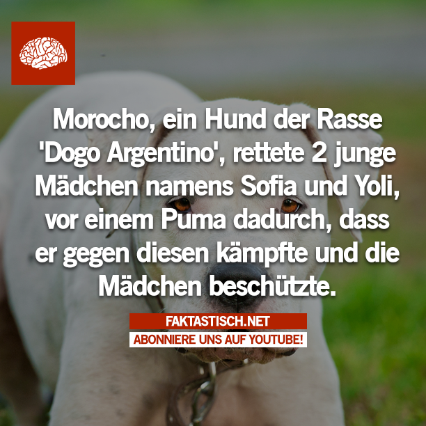 faktastisch's tweet photo. http://t.co/EEzmMlSd5v