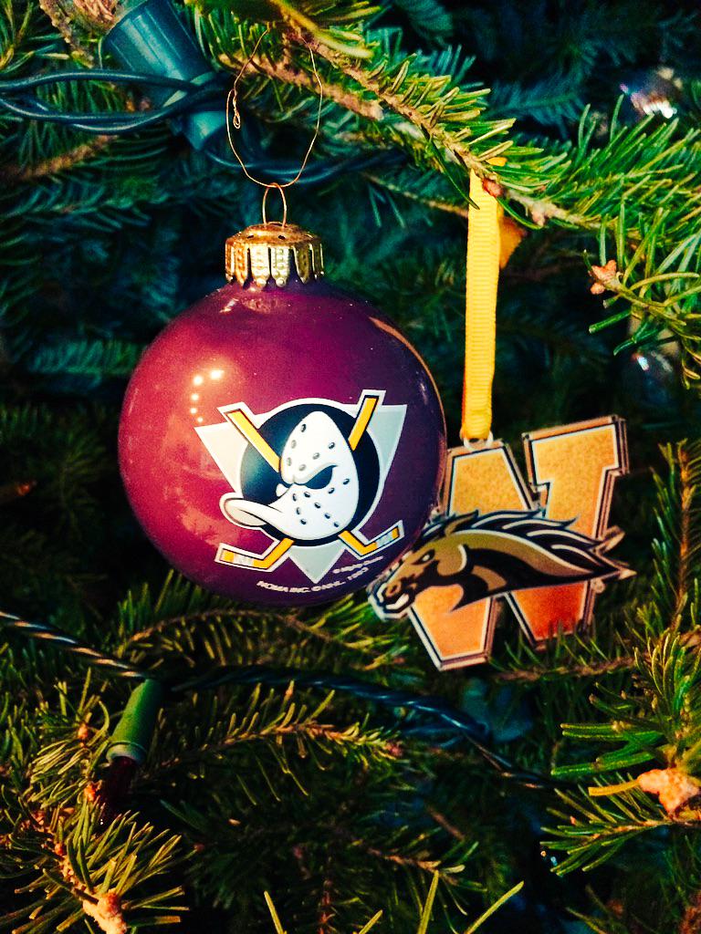 Kenney Morrison tweet media