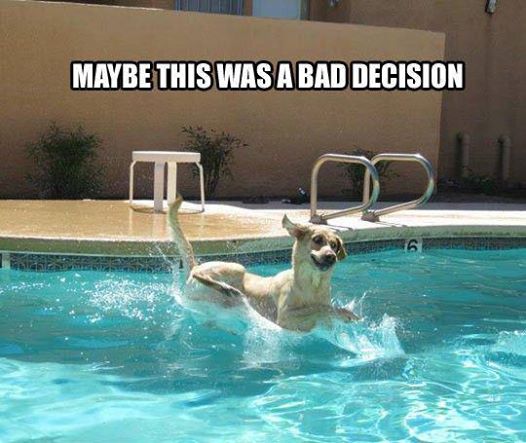 Need a little humor today....here is a good one for you!! #ThursdayTreat