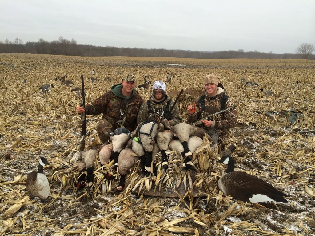 FallinFowl's tweet image. Raining geese this morning !